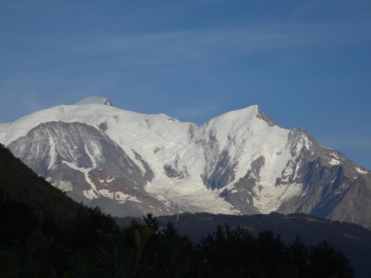 Mont Blanc Holidays Dans Avec Gardien *