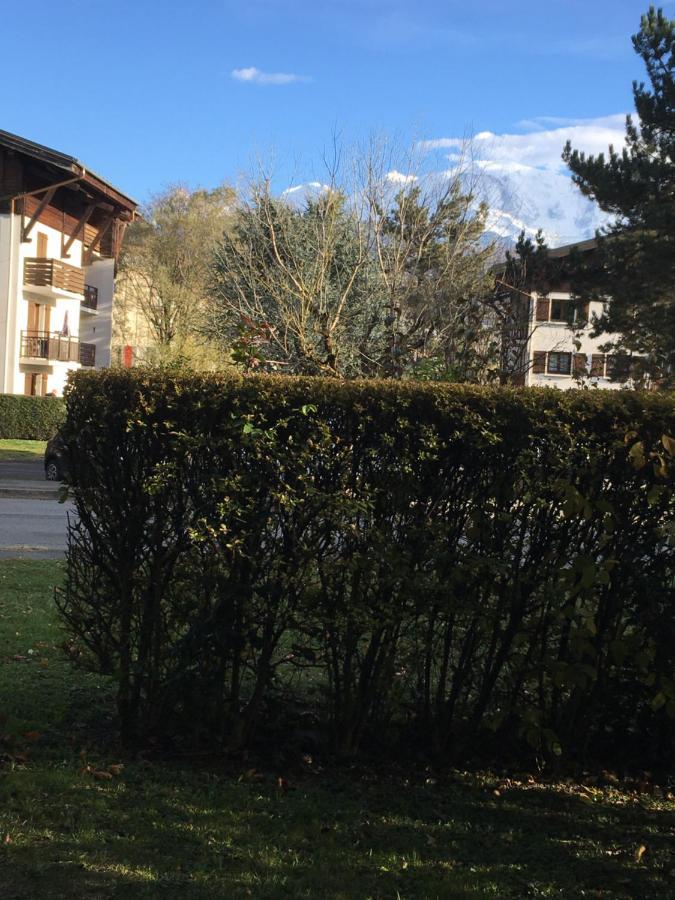 Apartment Mont Blanc Holidays Dans Avec Gardien