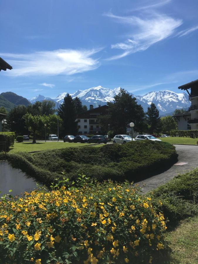 Apartment Mont Blanc Holidays Dans Avec Gardien